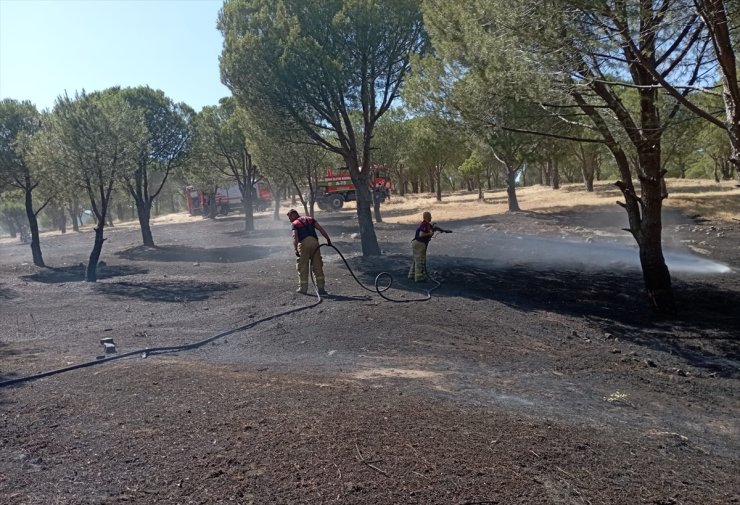 İzmir'in Karaburun ilçesinde orman yangını çıktı