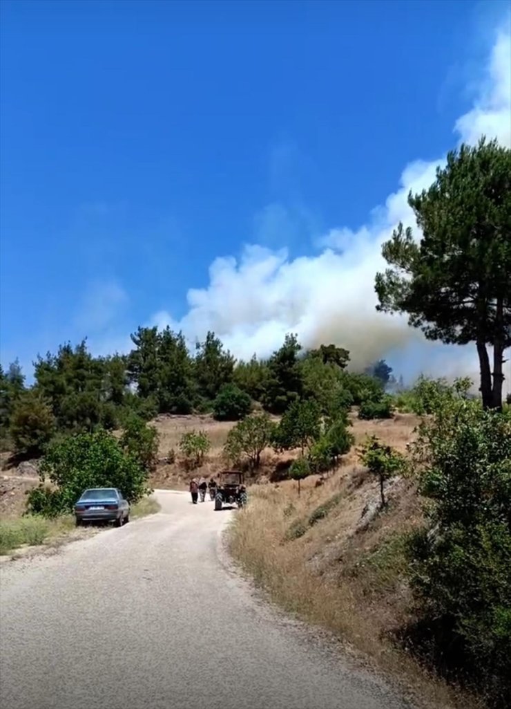 Bursa'da makilik alanda etkili olan yangın kontrol altına alındı