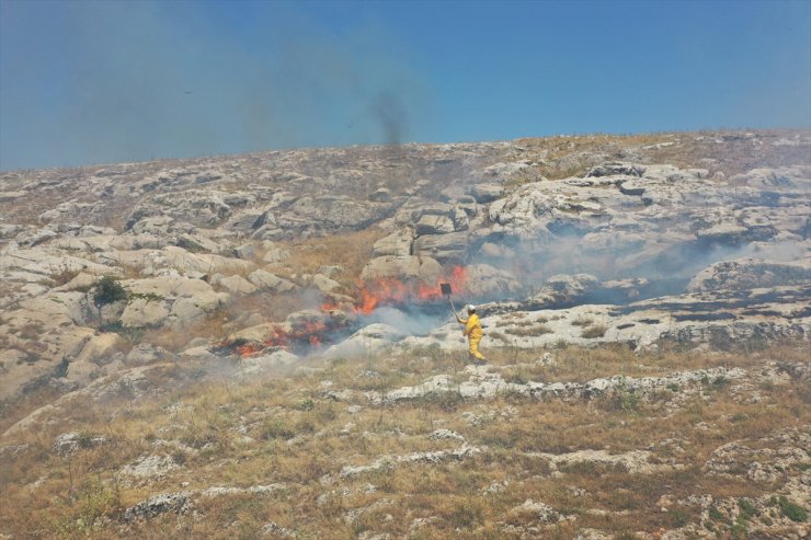 Adıyaman'da çıkan örtü yangını ormana sıçramadan söndürüldü