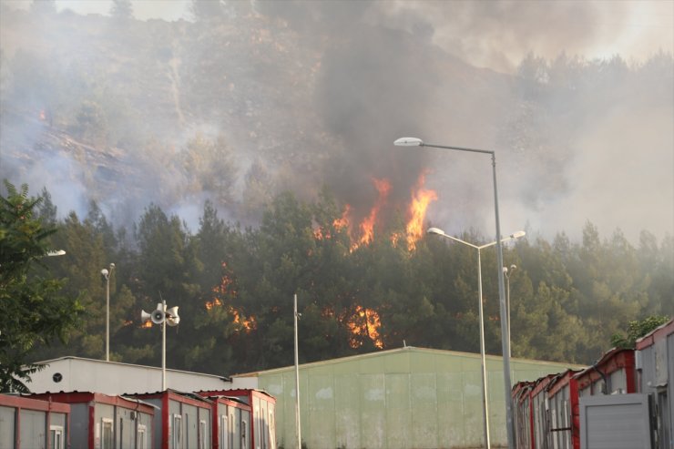 GÜNCELLEME - Gaziantep'te ormanlık alanda çıkarak barınma merkezine sıçrayan yangın kontrol altına alındı