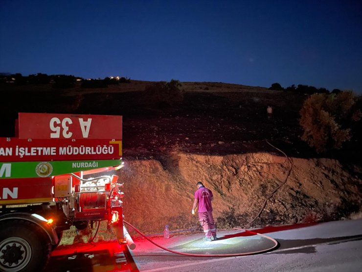 Kahramanmaraş'ta çıkan yangında 10 hektar makilik alan zarar gördü