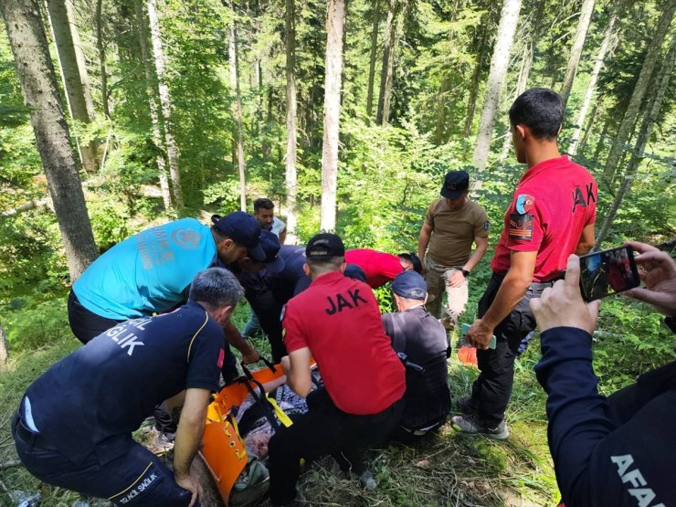 Kastamonu'da 8 gün önce kaybolan kadın baygın halde bulundu