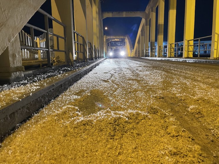 Sakarya'da birgün sineklerinin "ölüm uçuşu" başladı