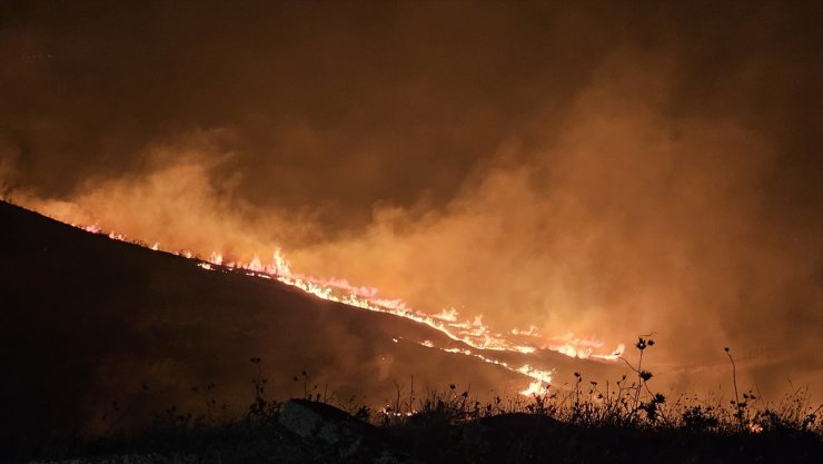 Siirt'te Kezer Çayı mevkisinde çıkan yangına müdahale ediliyor