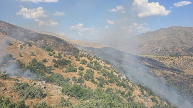 Siirt'te meşelik alanda çıkan yangına müdahale ediliyor