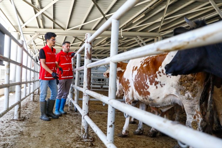 Türk Kızılay vekaletle kurban kesim kampanyasıyla yaklaşık 4,2 milyon ihtiyaç sahibine ulaşacak