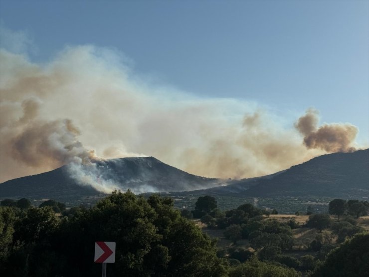 Uşak'ta orman yangınına müdahale ediliyor