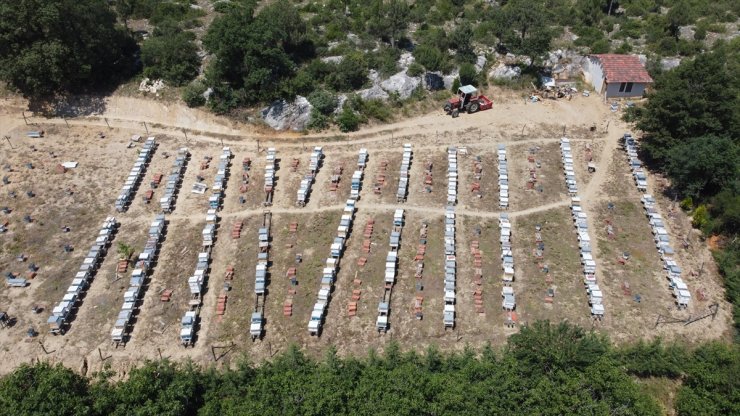 Babasının "tek oğul"la başladığı arıcılıkta devlet desteğiyle 200 kovana ulaştı