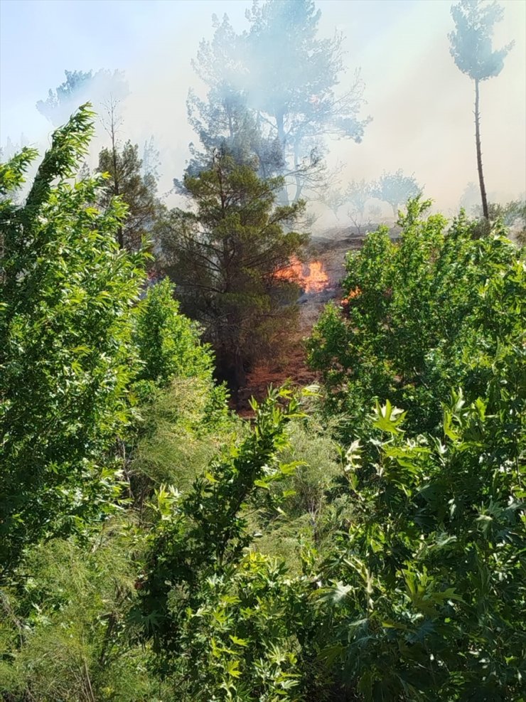 Mersin Mut'ta çıkan orman yangını kontrol altına alındı