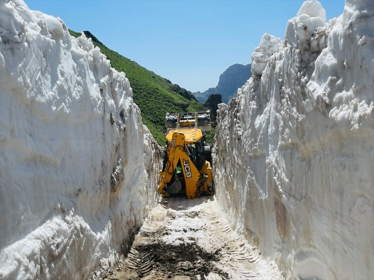 Şırnak'ta yaylalarda kar temizleme çalışması yapıldı