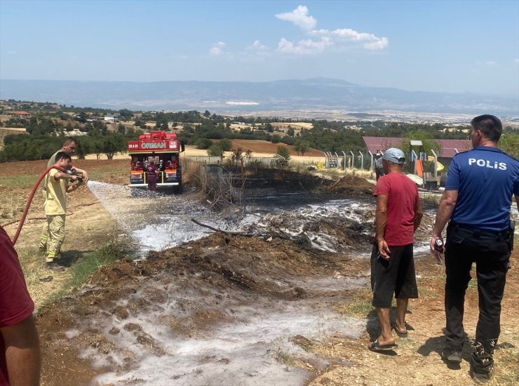 Denizli'deki anız yangını ormana sıçramadan söndürüldü