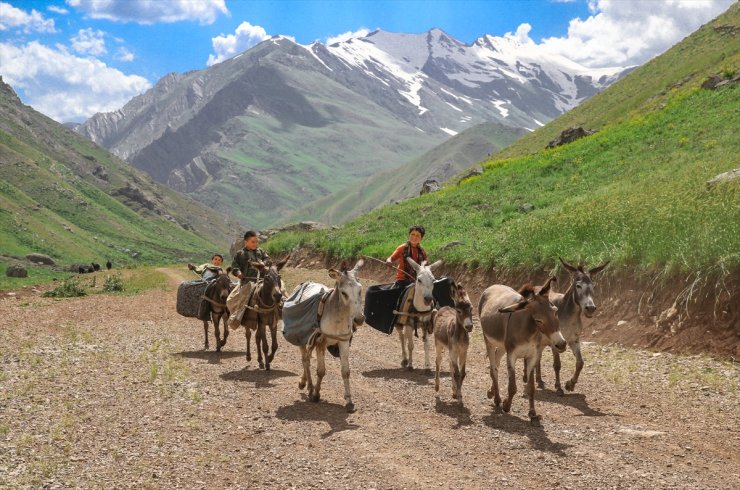 Hakkari'deki Han Yaylası, Şırnaklı göçerleri ağırlıyor