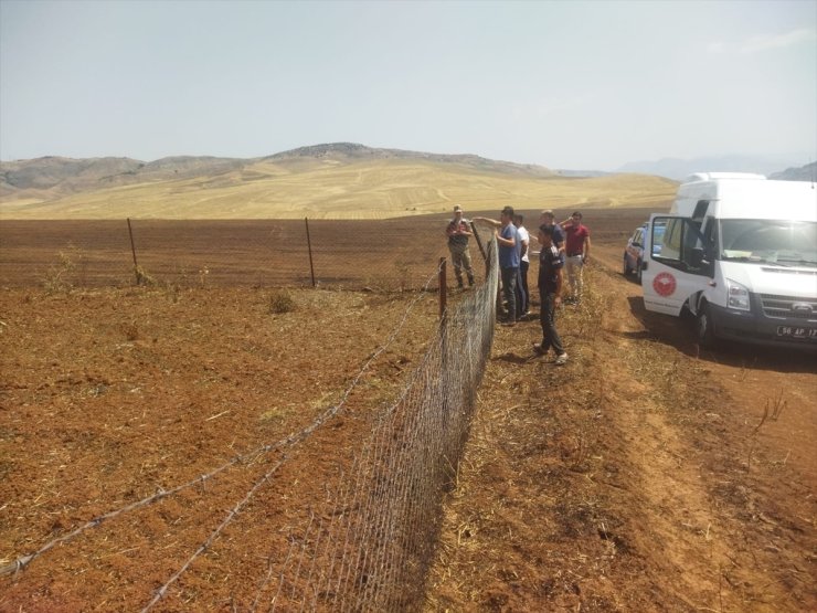 Siirt'te anız yangını çıkan alanlarda hasar tespiti tamamlandı