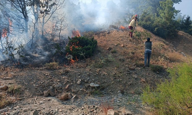 Bingöl'de ormanlık alanda çıkan yangın söndürüldü