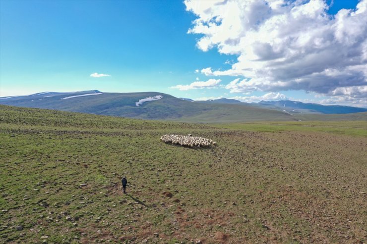 Erzurum'un karlı yaylaları göçer aileleri ağırlıyor