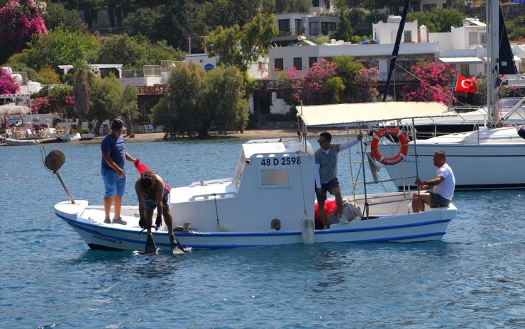 Bodrum'da dalgıçlar deniz dibinden 800 kilogram atık çıkardı