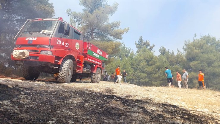 Denizli'nin Buldan ilçesinde orman yangını çıktı