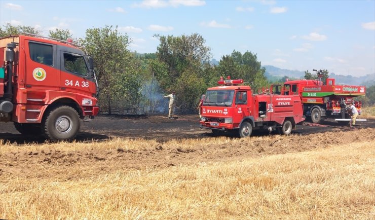 Edirne'de anız alanından ormana sıçrayan yangın söndürüldü