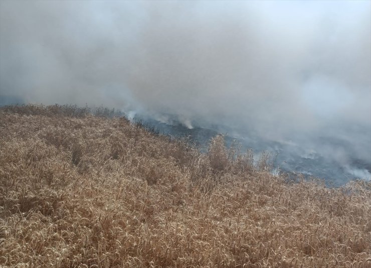 Edirne'de 20 dekarlık buğday ekili alan yandı