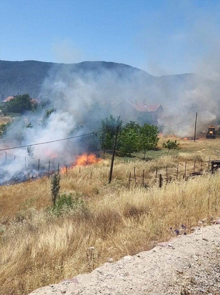 Antalya'da çıkan anız yangınında meyve ağaçları zarar gördü