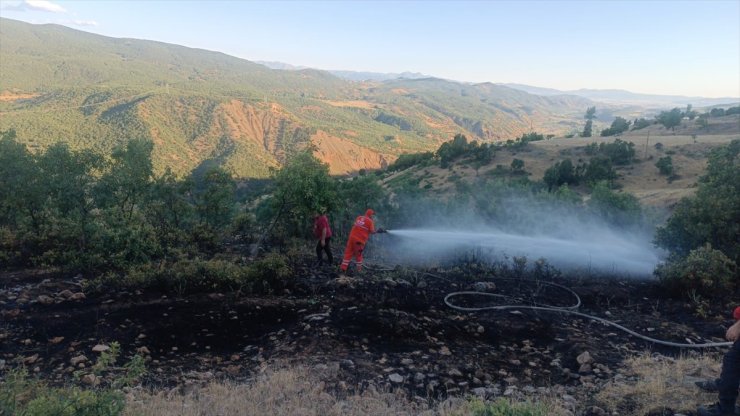 Bingöl'de ormanlık alanda çıkan yangın söndürüldü