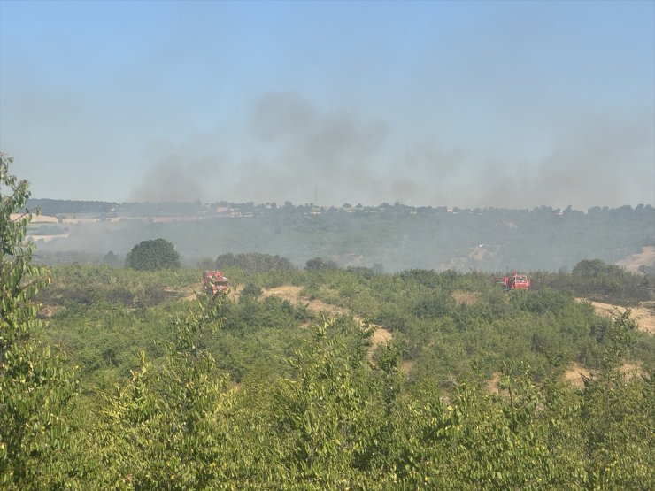 Edirne'de çıkan orman yangınına müdahale ediliyor