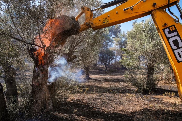 GÜNCELLEME 3 - İzmir'de çıkan orman yangınına müdahale ediliyor
