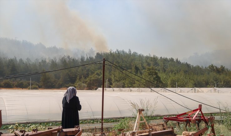 GÜNCELLEME 2 - İzmir'de çıkan orman yangınına müdahale ediliyor