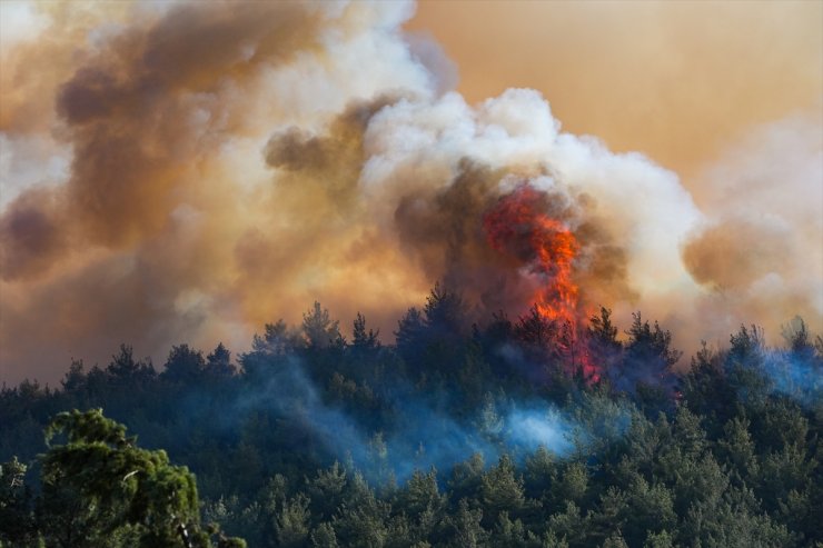GÜNCELLEME - İzmir'in Selçuk ilçesinde orman yangını çıktı