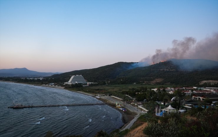 GÜNCELLEME 2 - İzmir'in Selçuk ilçesinde orman yangını çıktı