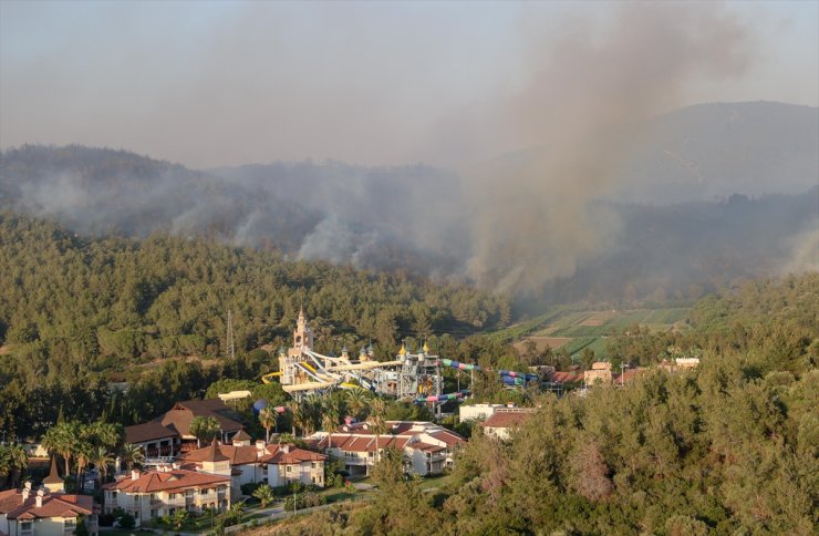 GÜNCELLEME 3 - İzmir'in Selçuk ilçesinde orman yangını çıktı