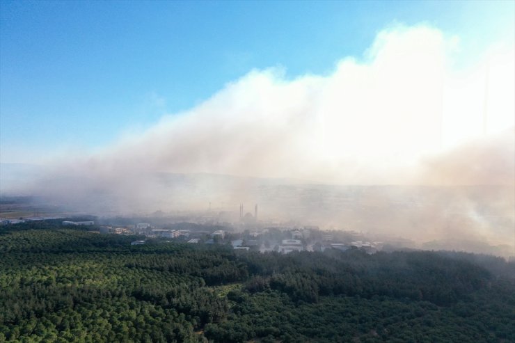 GÜNCELLEME 2 - Bursa'da makilik alanda çıkan yangın kampüsteki ormana sıçradı