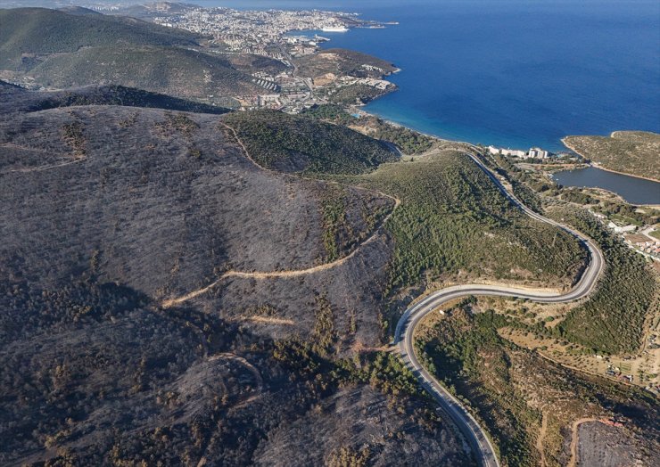 İzmir Selçuk'ta yangında zarar gören ormanlık alan havadan görüntülendi