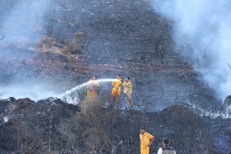 GÜNCELLEME - Muğla'nın Marmaris ilçesinde çıkan orman yangını söndürüldü