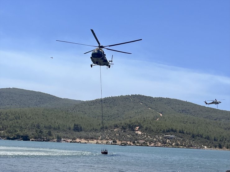 GÜNCELLEME - Muğla'nın Milas ilçesinde çıkan orman yangını kontrol altına alındı