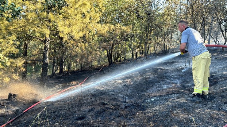 Kırklareli'nde çıkan yangında 7 dönüm ormanlık alan zarar gördü