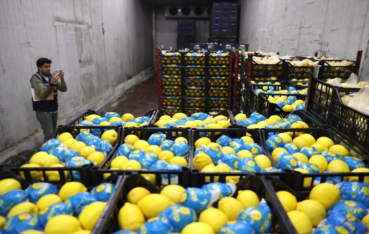 Ticaret Bakanlığı ekipleri, Mersin'de limon depolarını denetledi