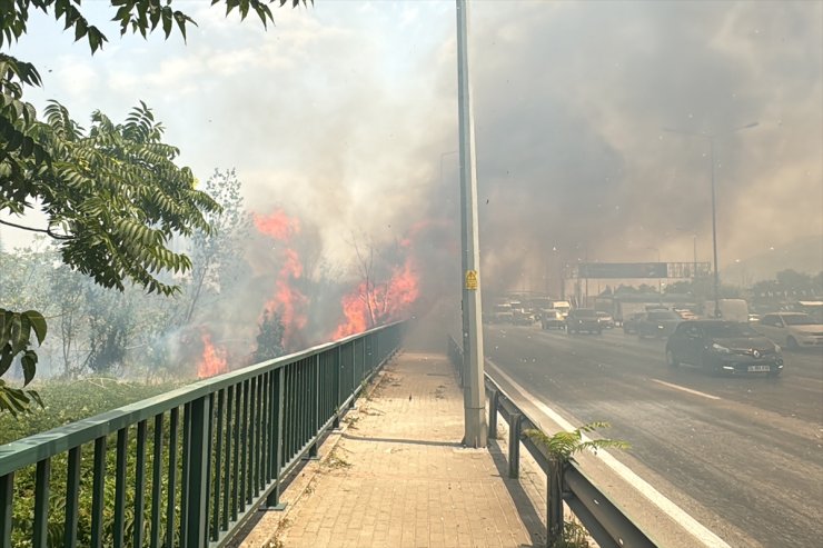 Bursa'da ağaçlık alanda çıkan yangın söndürüldü
