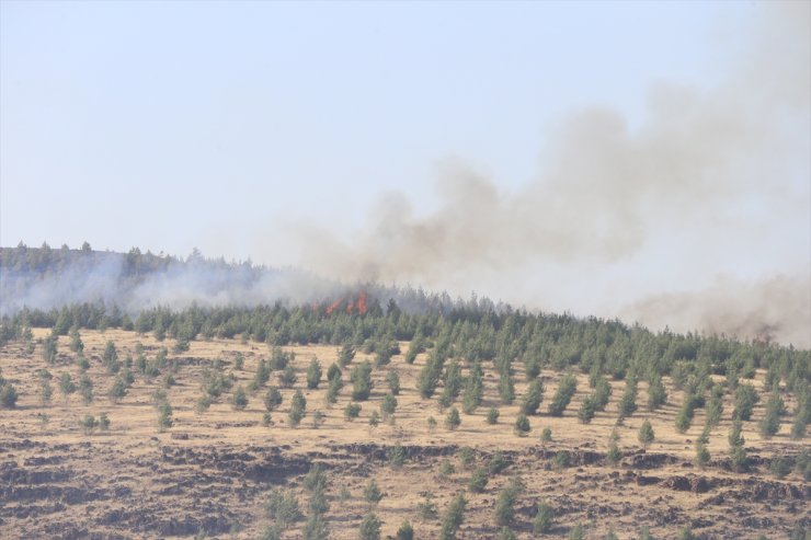 Kahramanmaraş'ta çıkan orman yangınına müdahale ediliyor