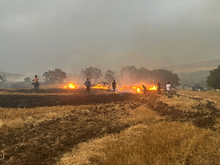Aksaray'da buğday ve arpa ekili tarlada çıkan yangında 100 dekar alan zarar gördü