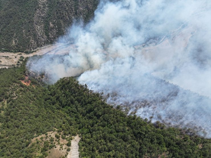 Karabük'te çıkan orman yangınına müdahale ediliyor