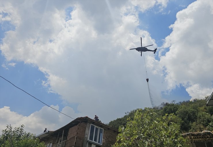 Aydın'da ağılda başlayıp zeytinlik alana sıçrayan yangın kontrol altında