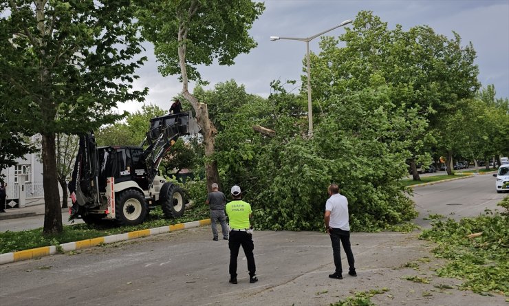 Erzincan'da fırtına bazı binaların çatısına zarar verdi