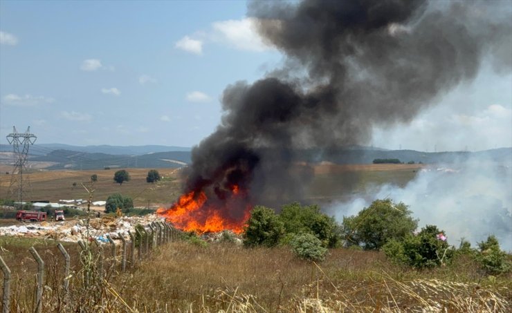 Tuzla'da otluk alanda çıkan yangına itfaiye müdahale ediyor