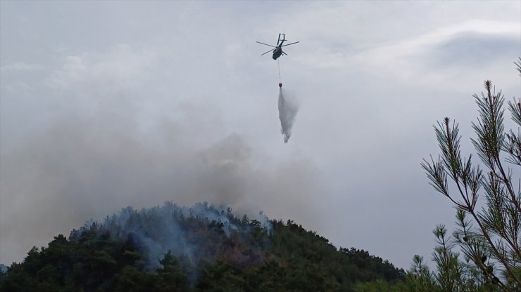 GÜNCELLEME - Karabük'te ormanlık alanda çıkan yangın kontrol altına alındı