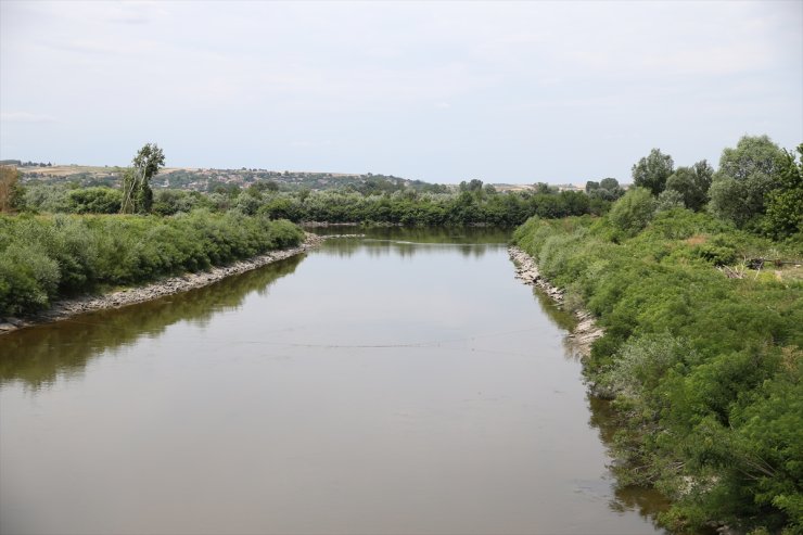 Meriç Nehri'nde su akışının hızlanması için temizlik yapılacak