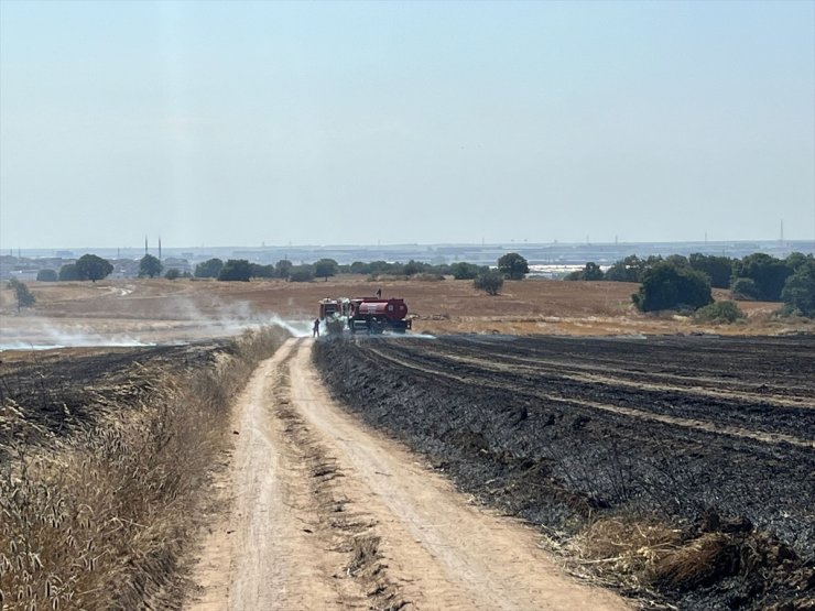 Tekirdağ'da çıkan anız yangını söndürüldü