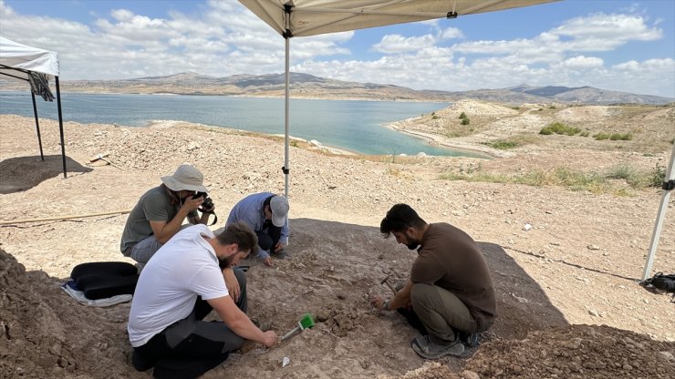 Kayseri Yamula Barajı çevresindeki fosil çeşitliliği dikkati çekiyor