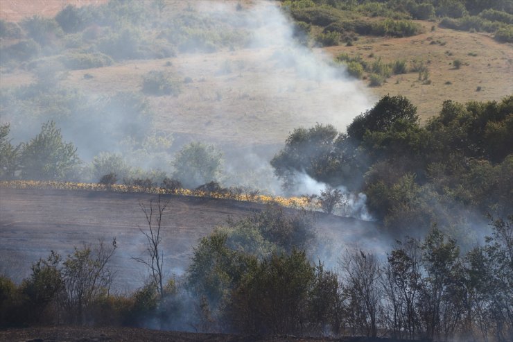 Tekirdağ'da çıkan anız yangını söndürüldü