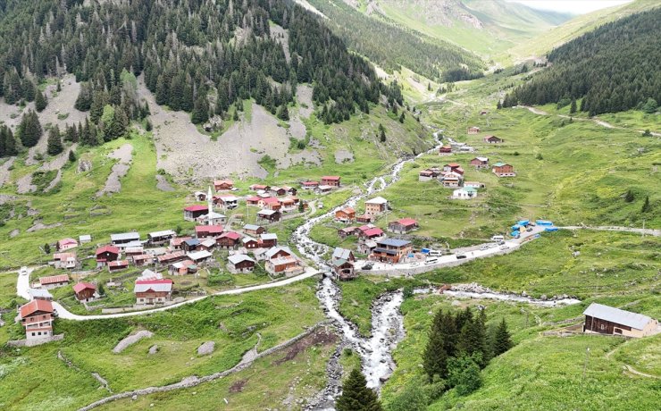 Kaçkar'daki yaylanın kadınları yarım asırdır hayvancılık yapıyor